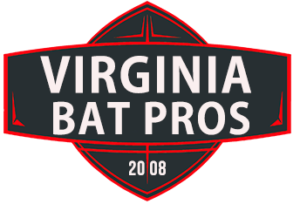 Virginia Bat Removal and Control 804-729-9097