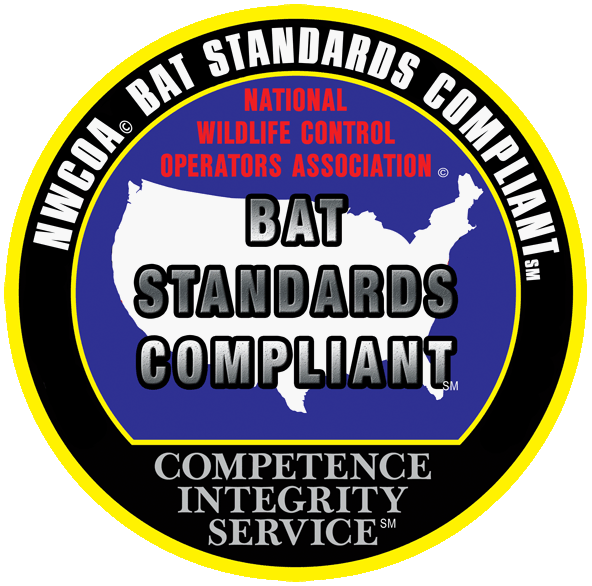 Virginia Bat Removal and Control