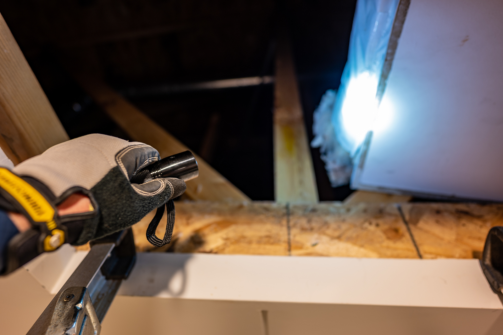 The Facts About Structural Damage Restorations for Attic Bat