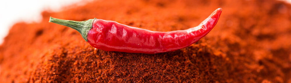 Chili pepper powder dog repellent clearance