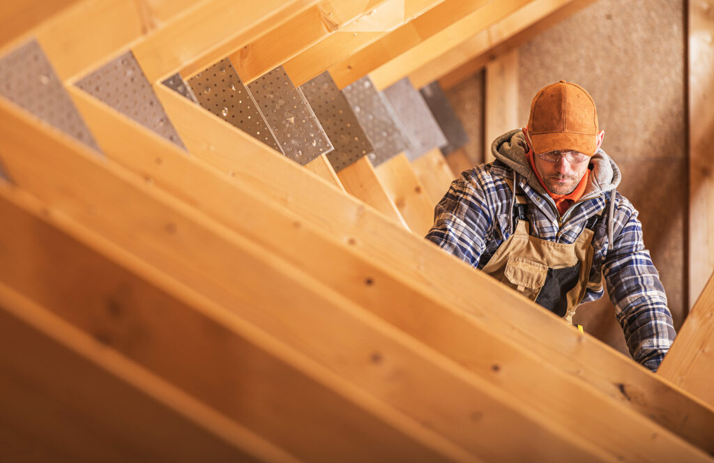 Bats in the Attic, Virginia Bat Pros