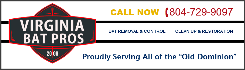 Virginia Bat Removal and Control 804-729-9097