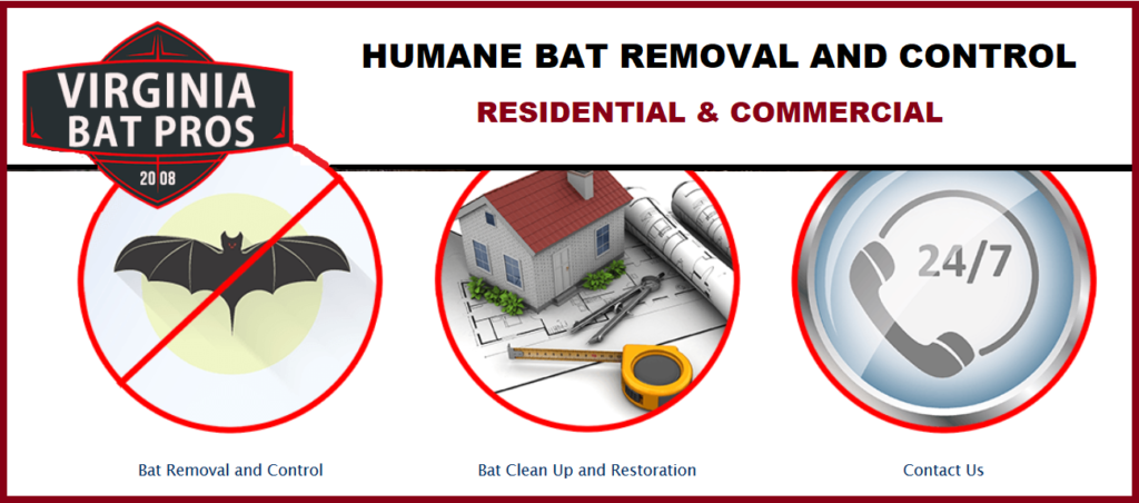 Virginia Bat Removal and Control 804-729-9097