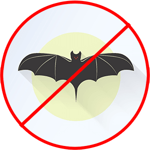 Using Exclusion to Remove Bats from Your House - Old House Journal Magazine